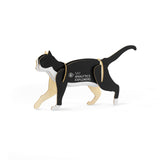 SAS – Analytics Explorers Merchandise